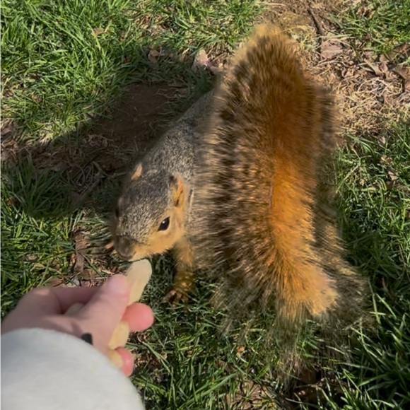 LēAnna is actually live?!?!?!? LIVE SHOW LISTING - Picture 5 of 8